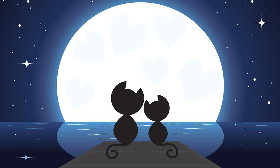 城口潮客汇微信活动策划案例